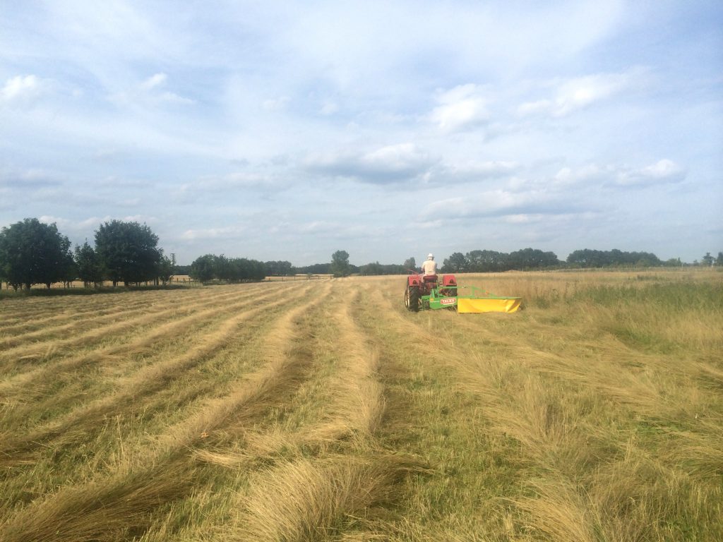 Trecker bei der Heuernte