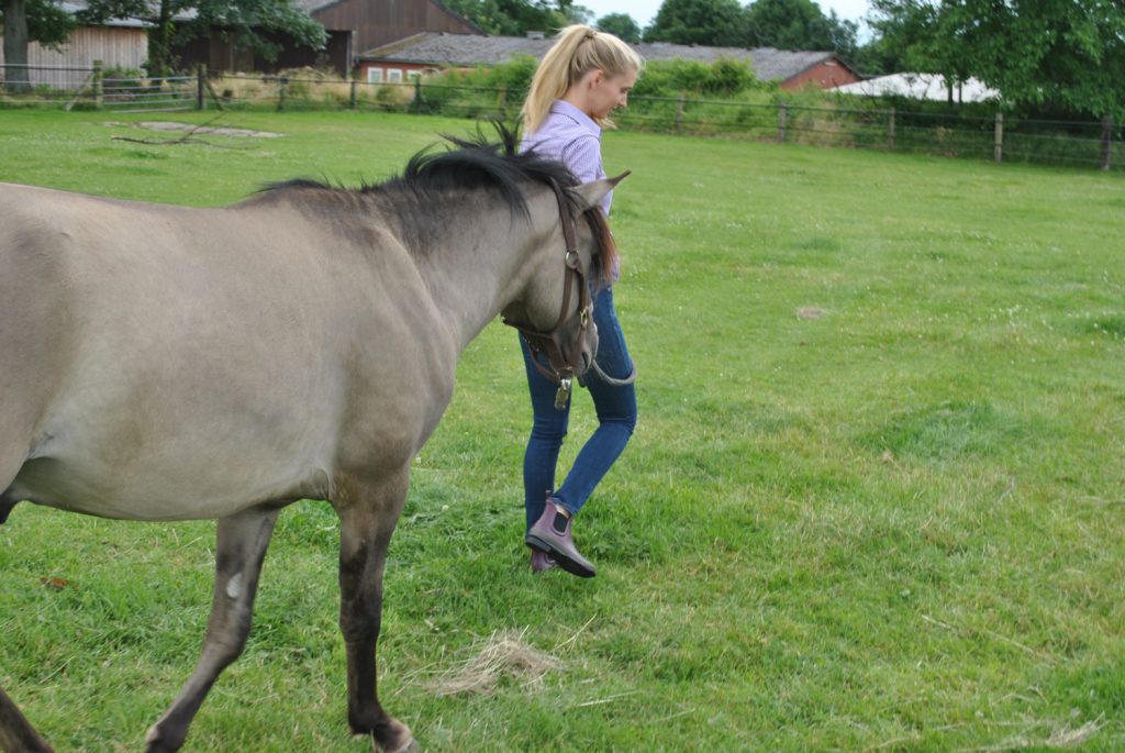 Gummistiefel Le Chameau
