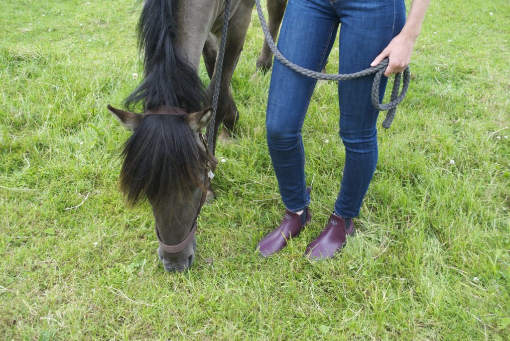 Le Chameau Stiefel auf der Pferdeweide