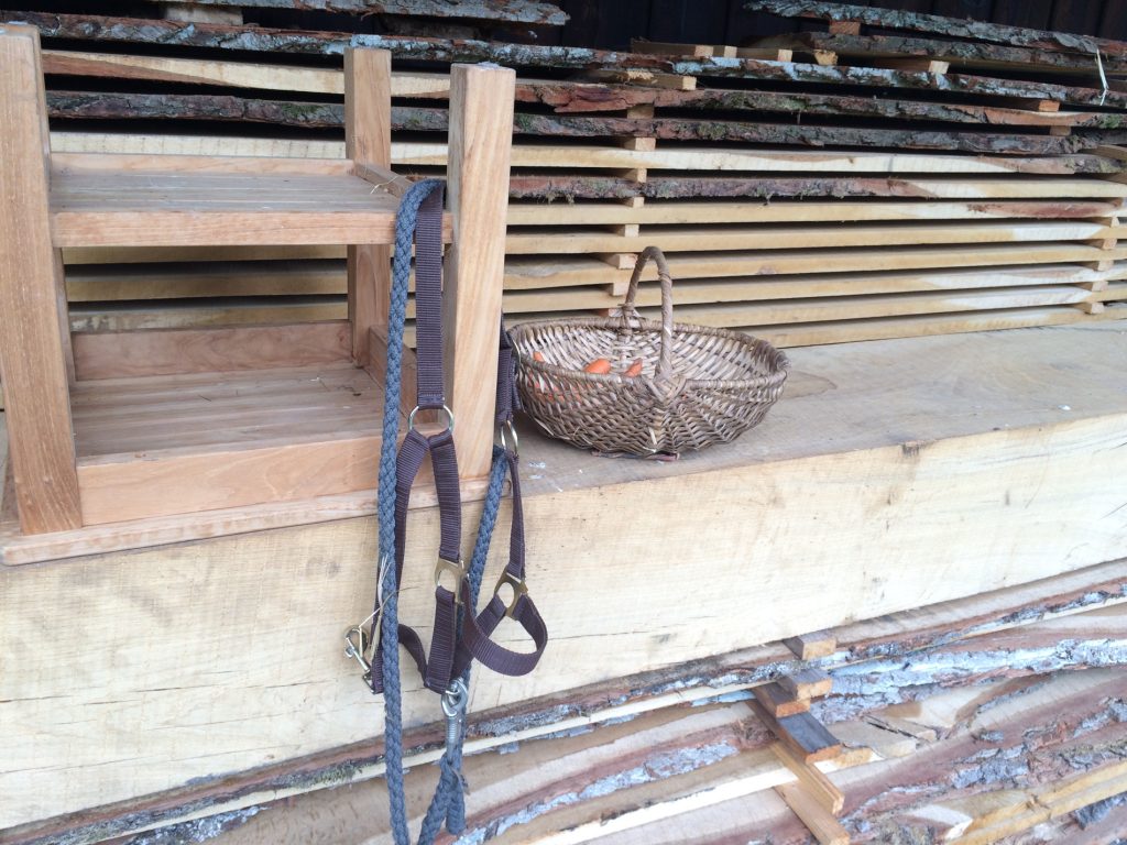 Wildlings Blog für Food & Farm