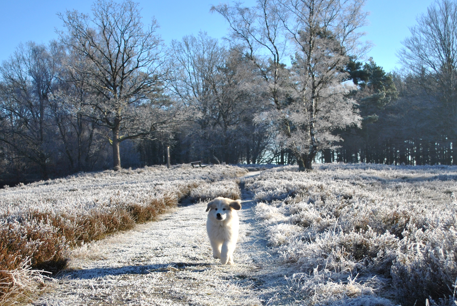 Ein neuer Wildling ist bei uns auf dem Bauernhof eingezogen!
