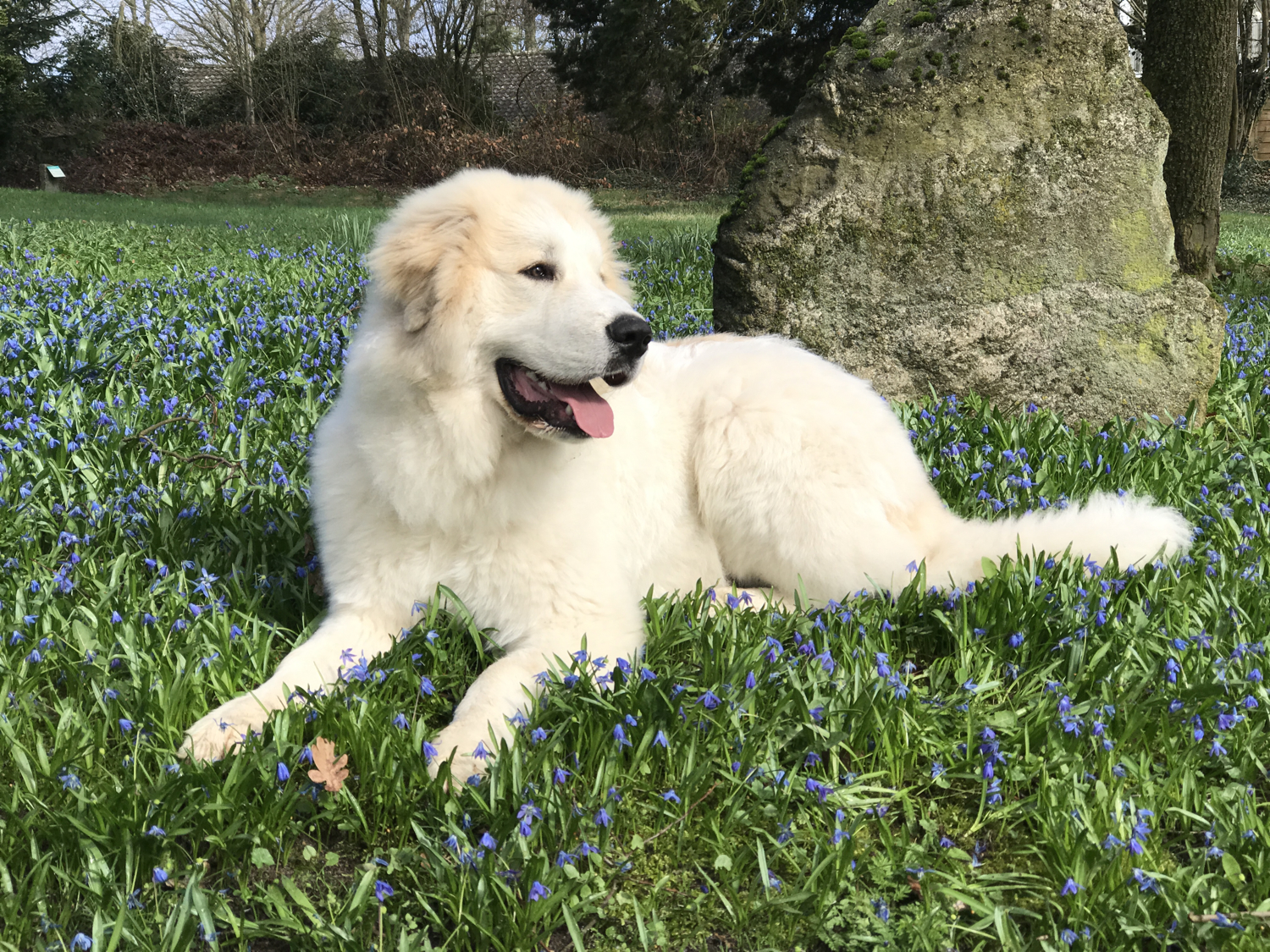 Wildlings Wonneproppen entdeckt die Welt