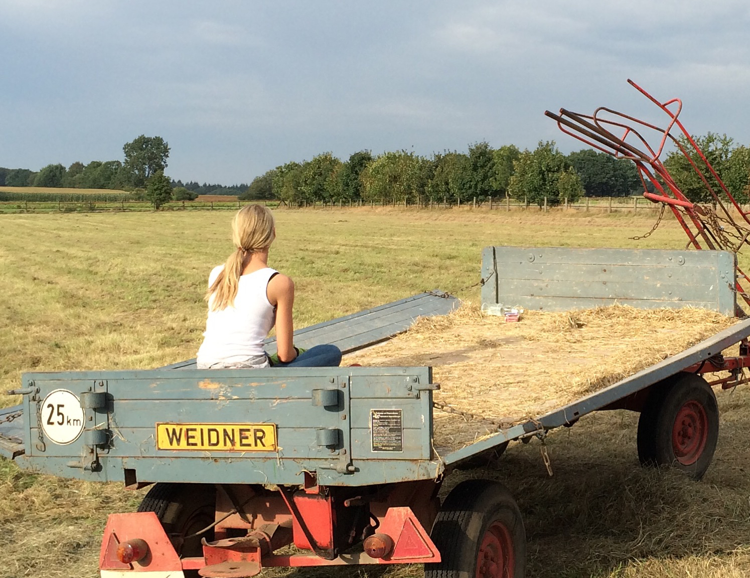 Heissa hopsa Hofleben